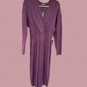 NWT! EXPRESS WOMENS SWEATER DRESS